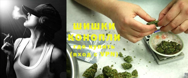 мдпв Володарск