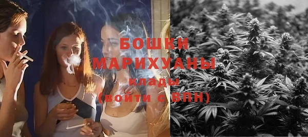мдпв Володарск
