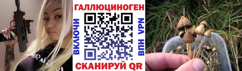 Псилоцибиновые грибы Cubensis  Новороссийск 